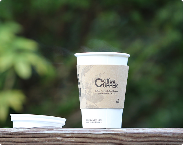 FDA Disposable Cups
